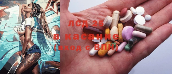 PSILOCYBIN Бородино