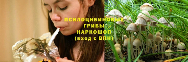 PSILOCYBIN Бородино